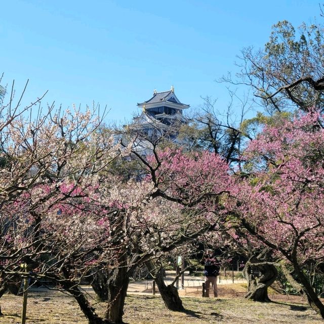 【岡山】後楽園