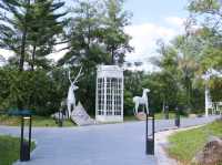 คาเฟ่มินิมอลสีขาวที่ Inbox cafe