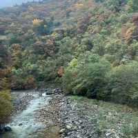 奥飛騨とアルプス街道平湯