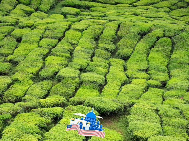 Feels like in a fairy tale!