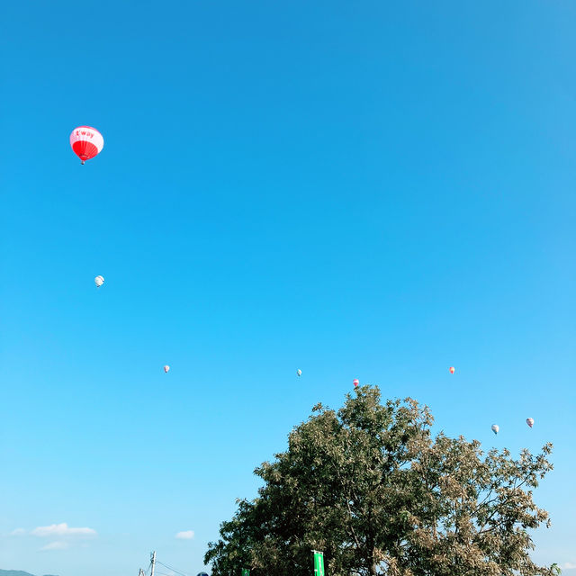 大会史上初？中止となった佐賀バルーンフェスタに行ってきた🎈