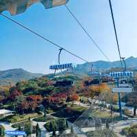 Seoul Grand Park in autumn is pure magic!