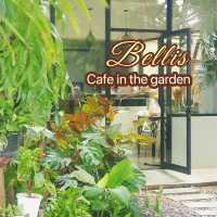 Bellis cafe ~ ร้านกาแฟในสวน