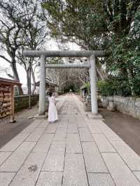 【茨城】金運最強のパワスポ神社