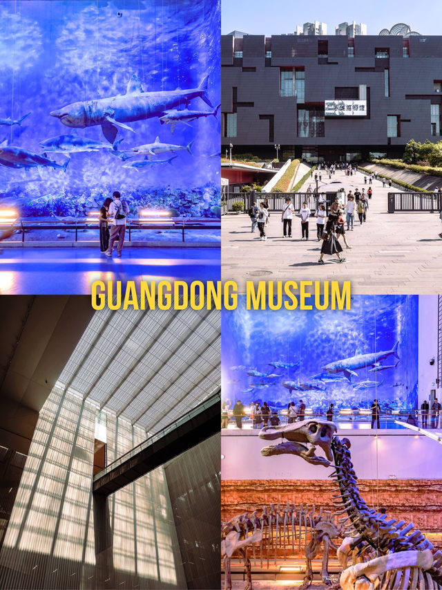 Guangdong Museum พิพิธภัณฑ์กวางตุ้งสุดว้าว