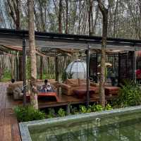 คาเฟ่ ภูเก็ต