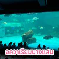 อควาเรียมบางแสน