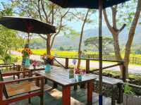  คาเฟ่บรรยากาศอบอุ่นสไตล์ไม้