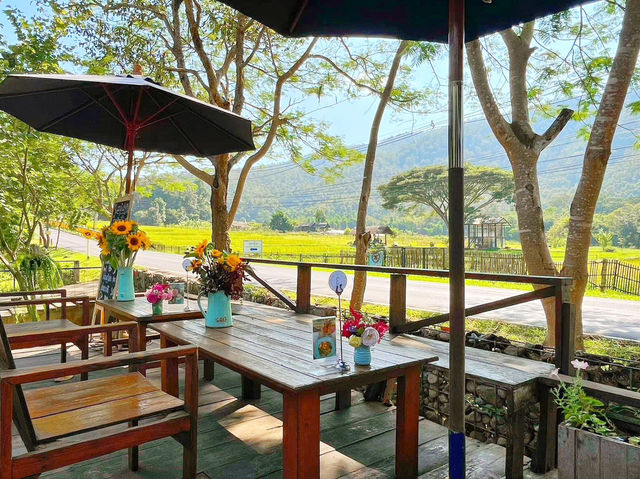  คาเฟ่บรรยากาศอบอุ่นสไตล์ไม้
