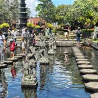 Enchanting Waters of Tirta Gangga