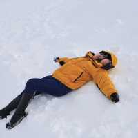 ยอดเขา Titlis swisserland