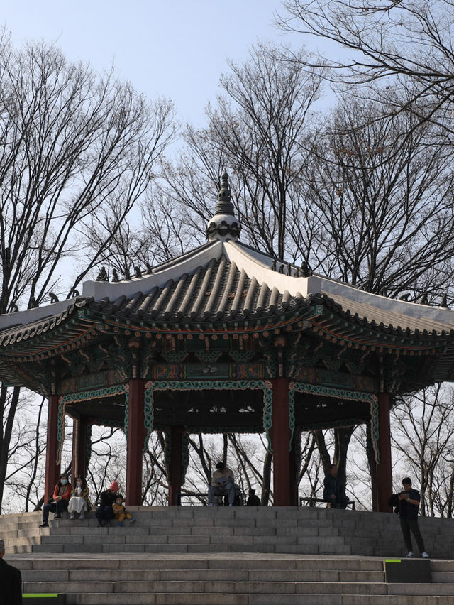 【ソウル🇰🇷】街を眺める優雅な休日