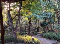 🇯🇵日本【旧朝倉家邸宅】