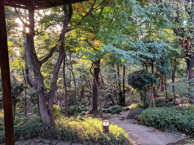 🇯🇵日本【旧朝倉家邸宅】