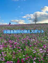 [淡路島]広大な大自然に癒される