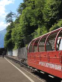 Brienz Rothorn Bahn: A Magical Summer Ride in Switzerland