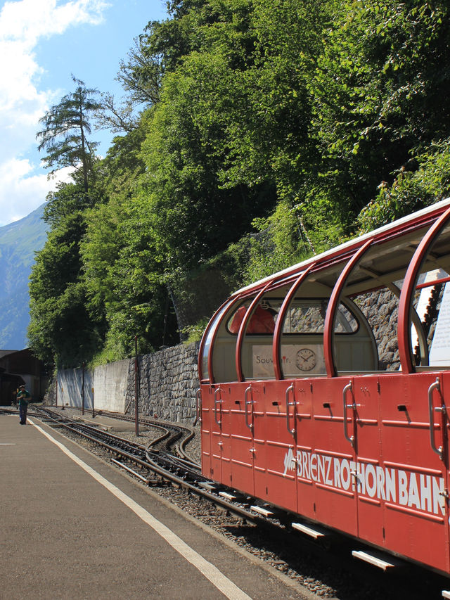 Brienz Rothorn Bahn: A Magical Summer Ride in Switzerland