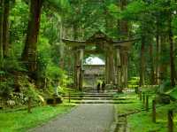 【福井県】兵どもが夢の跡…を感じる苔の名所「平泉寺白山神社」