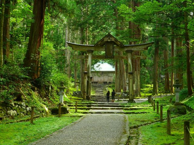 【福井県】兵どもが夢の跡…を感じる苔の名所「平泉寺白山神社」