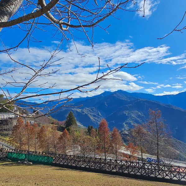 Explore Cingjing Farm, Taiwan’s High Mountain Leisure Farm