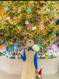 チョコレートブランドとのコラボ🍫横浜ベイクォーターXmas🎄