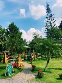  คาเฟ่ทุ่งดอกไม้ : Lapuné Cafe and Scene