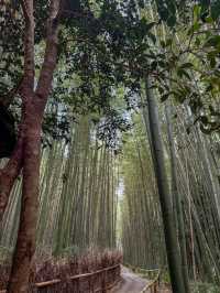 京都嵐山｜看自然美景、竹林小徑不錯的觀光景點