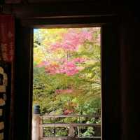 莊嚴溫馨小清水寺〔圓教寺摩尼殿〕