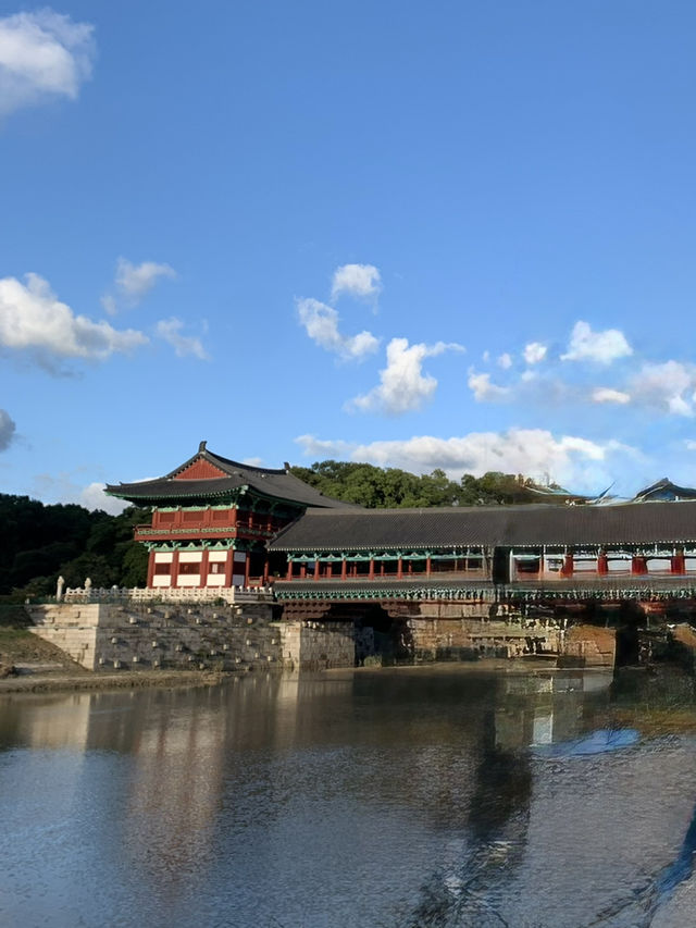 정말 좋았던 여름의 경주 💯 정말 좋았던 여름의 경주 💯
