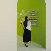 Museum of Contemporary Art & Planning Exhibition