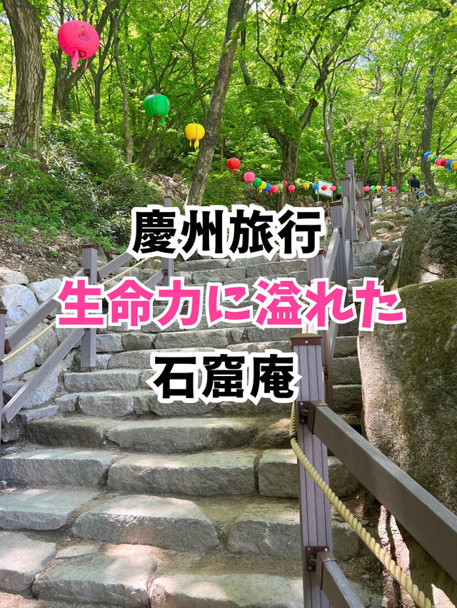 【韓国旅行】慶州／山道を登りきった人だけが観れる巨大仏像