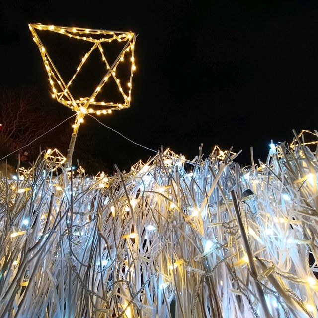 【大阪】大阪でおすすめのクリスマスイルミネーション🎄