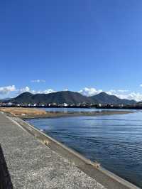 【沼津港🇯🇵】無料駐車場あり！海鮮食べるならここ！