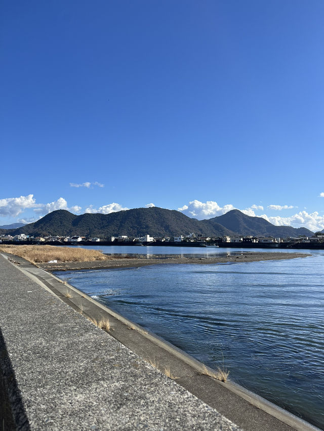 【沼津港🇯🇵】無料駐車場あり！海鮮食べるならここ！