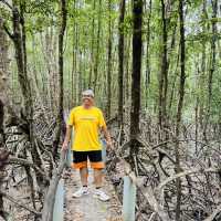 Ca Mau Primeval forest park 