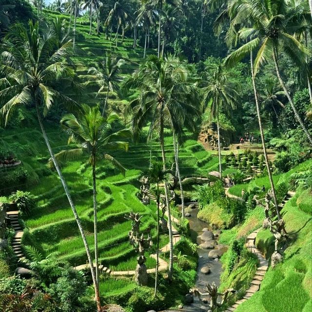 Swinging Into Paradise: A Day at Alas Harum Bali