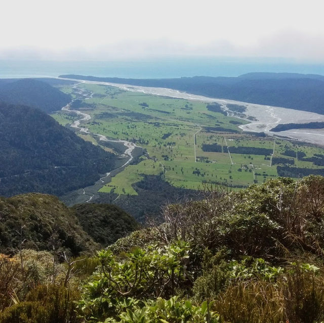 Conquer the Heights: Hiking the Alex Knob Track🏞️🥾