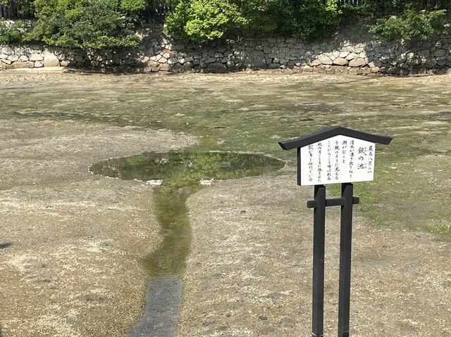 🇯🇵【広島】世界文化遺産！厳島神社in宮島✨