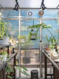 【東京】八丈島のトロピカル空間🪴たくさんの植物がお得に揃う！お土産にもおすすめ◎ 