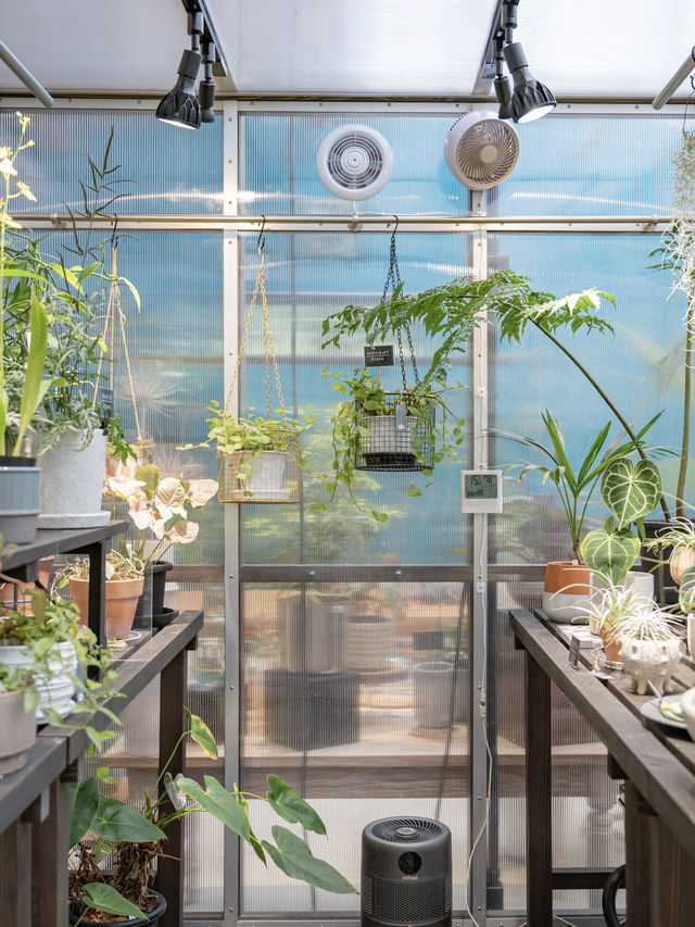 【東京】八丈島のトロピカル空間🪴たくさんの植物がお得に揃う！お土産にもおすすめ◎ 