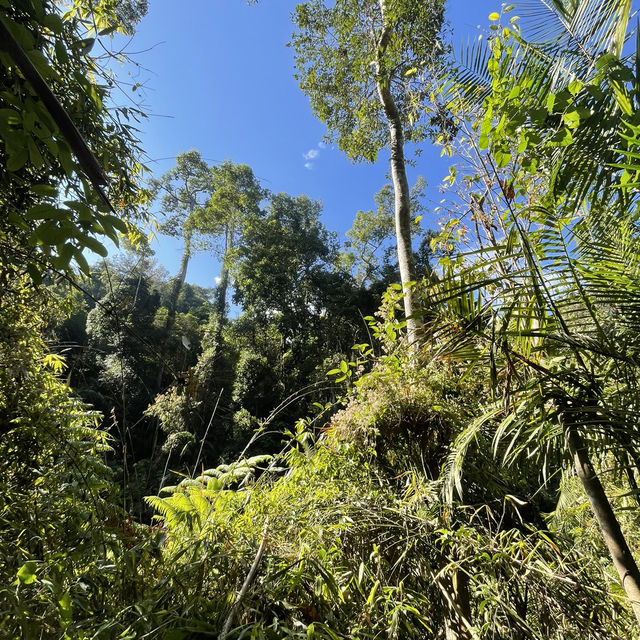 Khao Yai national park