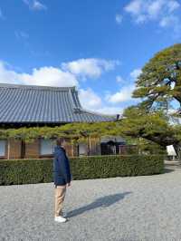 日本景點🇯🇵特式水上佛堂🩵