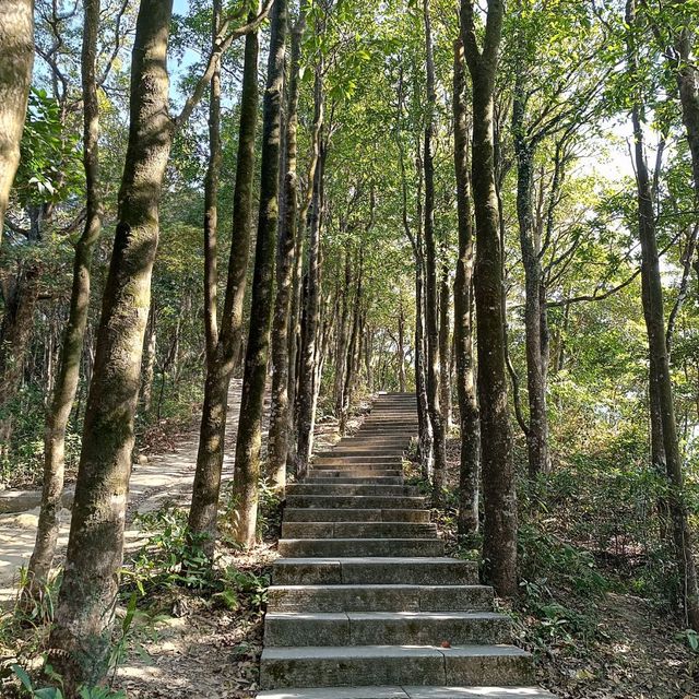 深圳行山之旅：梧桐山登雲道