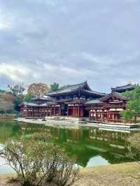 【京都　宇治】紅葉シーズンの平等院