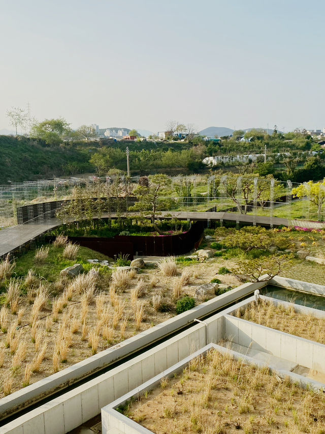 수산물 가공 공장의 변신! 거제 ‘아그네스 파크’ 🌊✨