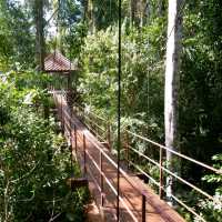 สะพานเรือนยอดไม้ จ.ตรัง