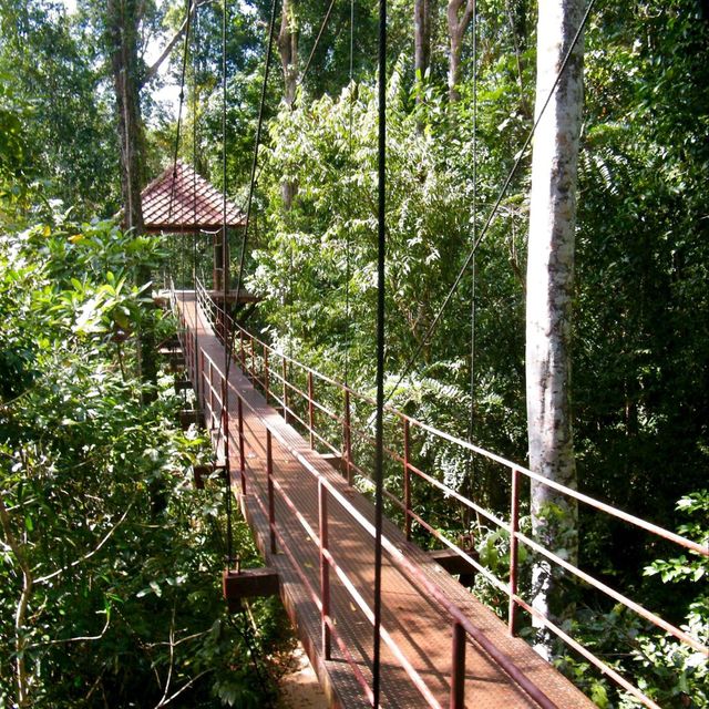 สะพานเรือนยอดไม้ จ.ตรัง