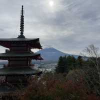 November Moments at the Foot of Fuji