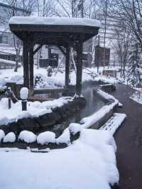 【北海道】ここが札幌市内？？市街地からバスで行ける温泉地