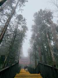 Taipingshan🍃 Nature’s Hidden Masterpiece